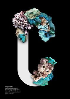 the letter j is made up of flowers and leaves on a black background with white letters