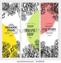 three vertical banners with hand drawn vegetables and herbs on the white background, for organic shop