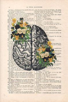 an open book with flowers in the shape of a brain