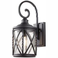 an outdoor wall light with a glass cage on the front and back panel, in black finish