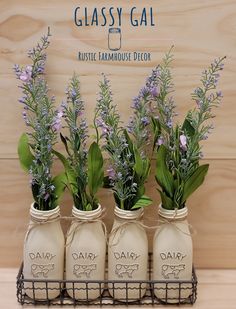 three mason jars with plants in them sitting on a shelf