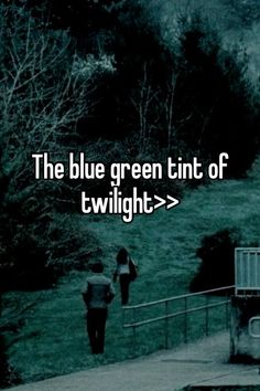 the blue green tint of twilight is shown in black and white with an image of two people walking up stairs