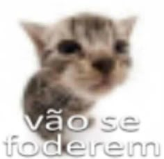 an image of a cat with the words vao se fodderem on it