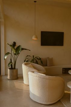 a living room filled with furniture and a potted plant