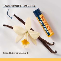 Take the smooth warm flavor of classic vanilla with you on your lips wherever you go. Our essential Burts Bees Moisturizing Lip Balms nourish and make your lips feel luxurious with one swipe. Infused with a sweet vanilla flavor and nutrient rich botanicals like Beeswax to richly moisturize and soften lips the nourishing oils and butters will make your lips juicy happy and healthy. With a matte finish and moisturizing balm texture this tube of tint free soothing lip balm glides on smoothly to nourish dry lips while keeping them revitalized and hydrated. The perfectly pocket sized tube conveniently tucks into your drawer or purse so that you can keep natural nurturing lip care handy. This 100% natural origin beauty product is formulated without parabens phthalates petrolatum and SLS and will Burts Bees Lip Balm, Natural Hydration, Beeswax Lip Balm, Sweet Fragrance, Soften Lips, Natural Lip Balm, Moisturizing Lip Balm, Smooth Lips, Burt's Bees