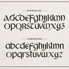 the upper and lower case of an old - fashioned typeface is shown in black