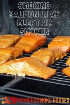 Smoker Recipes Electric, Salmon Smoker, Fish In The Ocean, Smoker Cooking Recipes, Smoked Salmon Recipes, Traeger Smoker Recipes, Smoker Cooking, Smoked Fish Recipe, Salmon Fillet