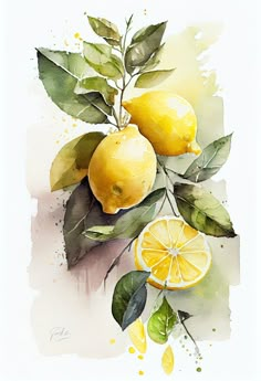 a watercolor painting of lemons and leaves