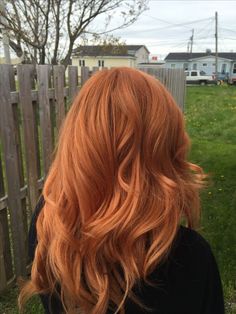 Light Red Orange Hair, Red Hair Inspiration Natural, Tangerine Hair Color, Fox Tail Hair Color, Strawberry Ginger Hair, Soft Ginger Hair, Golden Red Hair, Willa Grant