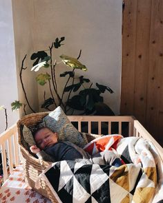 a baby sleeping in a basket on top of a bed next to a potted plant