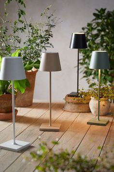 three lamps sitting on top of a wooden floor next to potted plants and greenery