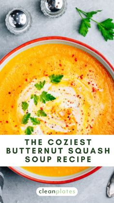 the goziet butternut squash soup recipe in a bowl with parsley on top