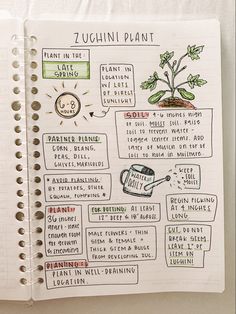 a page in a notebook with an illustrated diagram of plants and things to plant on it