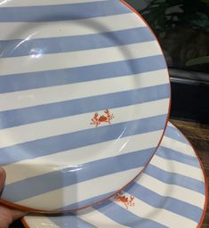 a person is holding two plates on their hands and they are blue and white with orange stripes