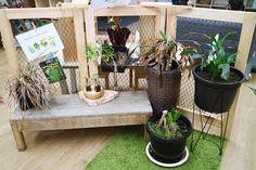 several potted plants sit on a bench in a garden store, surrounded by other plant displays