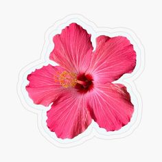 a pink flower is shown in the middle of a white sticker with an orange center