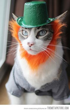 a cat wearing a green top hat and orange hair with the caption irish you a happy st patrick's day