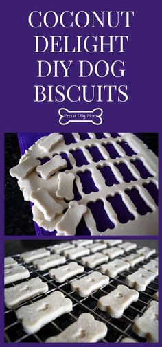 the cover of coconut delight diy dog biscuits, which are made with white chocolate