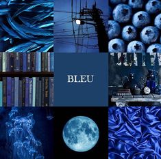 a collage of blue images with the words bleu above them and below it