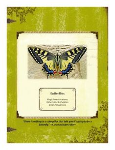 a book cover with an image of a butterfly on it's back and the words butter