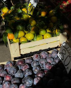 there are many different types of fruit in this market stall, including plums and lemons