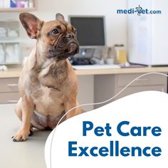 Medi-Vet is here to elevate your pet's health and well-being, offering the same high-quality products found in veterinary hospitals, now more affordable than ever. Trust us to be your partner in total pet care excellence. Veterinary Hospital