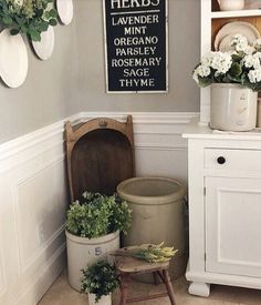 a kitchen with white cabinets and green plants in pots on the floor, next to a potted plant