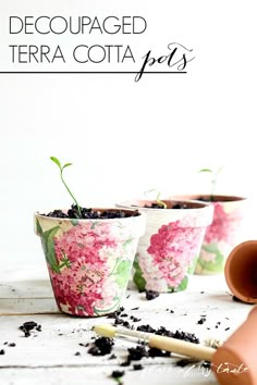 three flower pots filled with dirt and plants