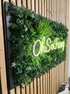 a green wall with the words ohs - so - try written in neon on it