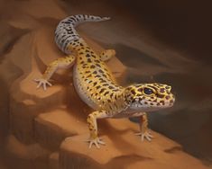 a yellow and black spotted gecko sitting on top of a rock