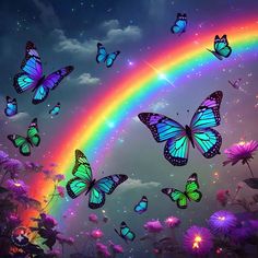 many butterflies flying in the sky with a rainbow