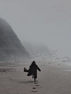 a person walking on the beach with birds flying around