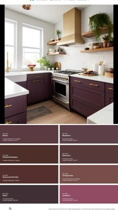 an image of a kitchen with purple cabinets and white counter tops in the center is a potted plant