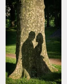 the shadow of two people standing in front of a tree with their arms around each other