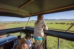 people are riding in the back of a vehicle on an open grassy field with elephants