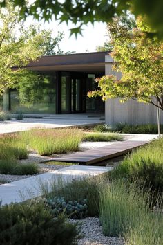 an outdoor garden with grass, rocks and trees in front of a modern house on a sunny day