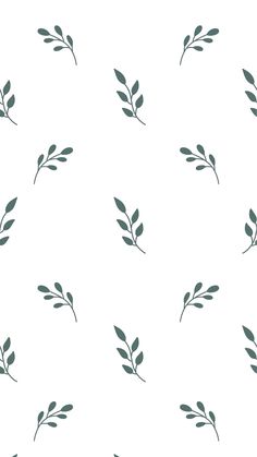 a white background with green leaves on it