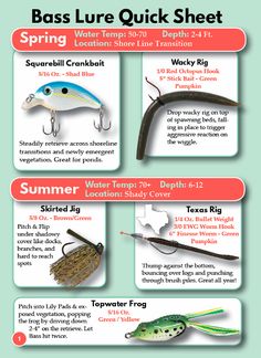 the different types of fishing lures are shown in this poster, which includes information on how to use them