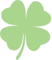 a green four leaf clover on a white background