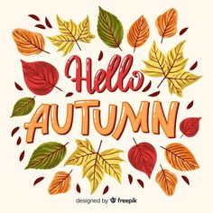 the words hello autumn surrounded by leaves