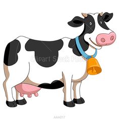 a black and white cow with a bell around its neck is standing in front of a white background