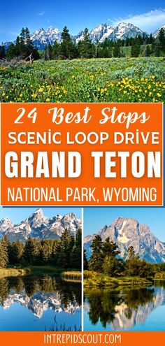 Road Trip Places, Visit Yellowstone, Road Trip Planning, National Parks Trip, Scenic Drive