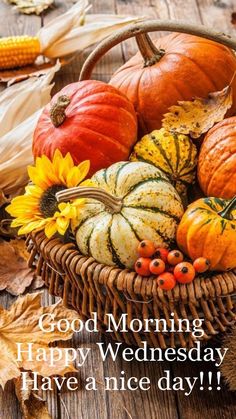 Happy Wednesday! Concentrate on one day at a time! 🌞 Happy Fall Wednesday, Happy Wednesday Autumn, Fall Wednesday, Weekday Motivation, Hello Images, Fall Greetings, Wednesday Hump Day