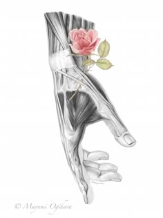 a drawing of the arm and wrist muscles with a rose in it's center