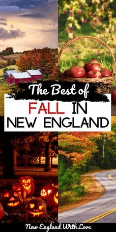 the best of fall in new england with pumpkins and jack - o'- lanterns