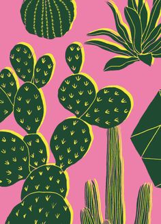 an illustration of cactuses and other plants on a pink background with geometric shapes around them