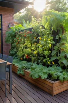 an outdoor garden with lots of plants growing on the wall and in the ground, surrounded by wooden decking