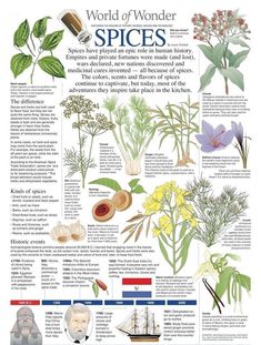 the world of wonder spices poster with pictures of plants and flowers on it's side