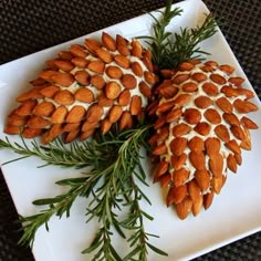 two pine cones are sitting on a white plate next to evergreen branches and pine cones