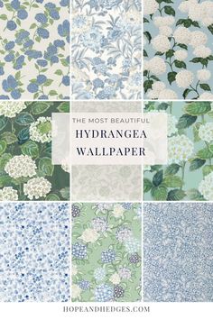 the most beautiful hydrangea wallpapers in blue, green and white colors